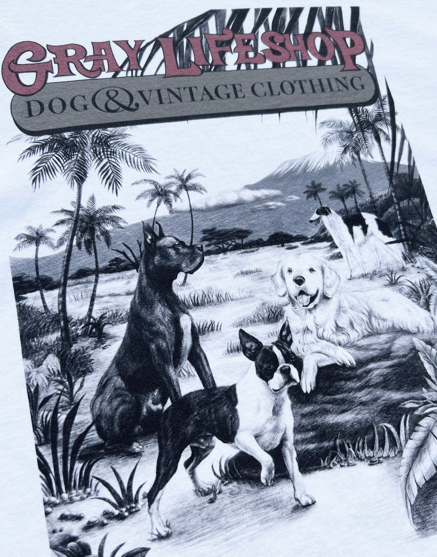 gray 1th Anniversary 『Jungle dogs』S/S T-shirts